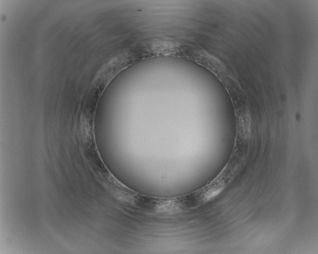 X0000072940705200607211102