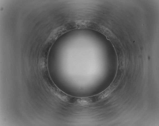 X0000072940706200607211102