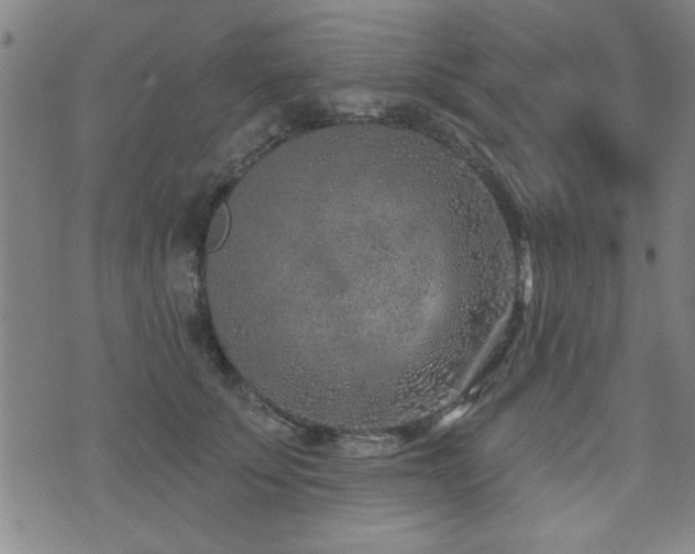 X0000072940707200607211102