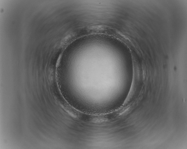 X0000072940708200607211102