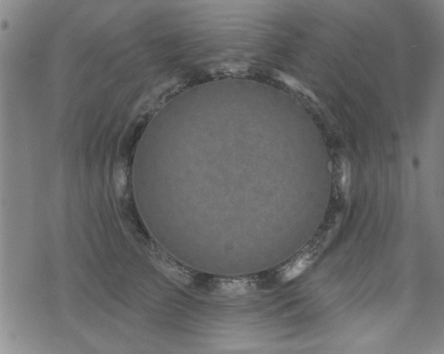 X0000072940709200607211102