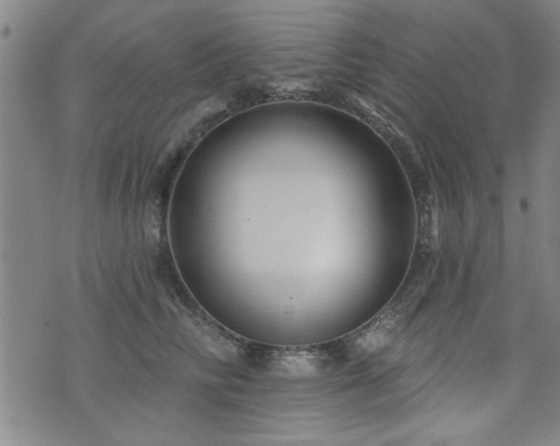 X0000072940710200607211102