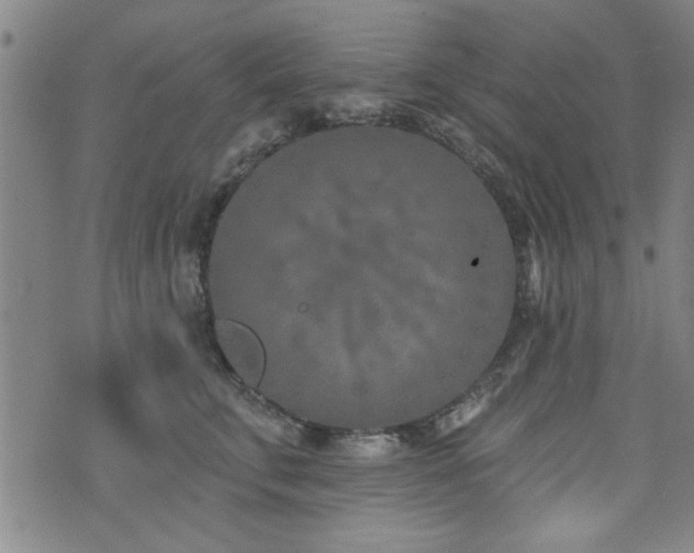 X0000072940711200607211102