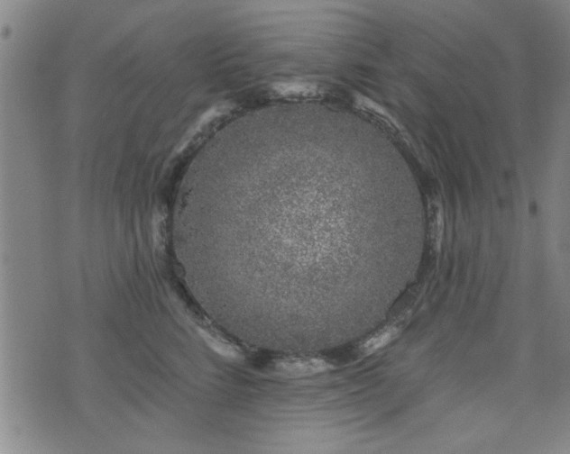 X0000072940712200607211102