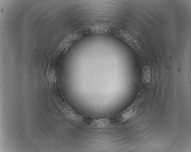 X0000072940713200607211102