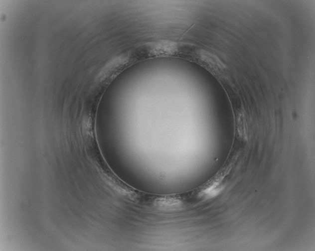 X0000072940714200607211102