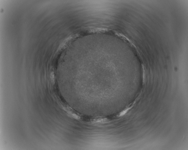 X0000072940716200607211102