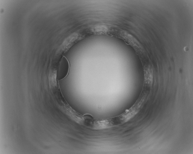 X0000072940717200607211102