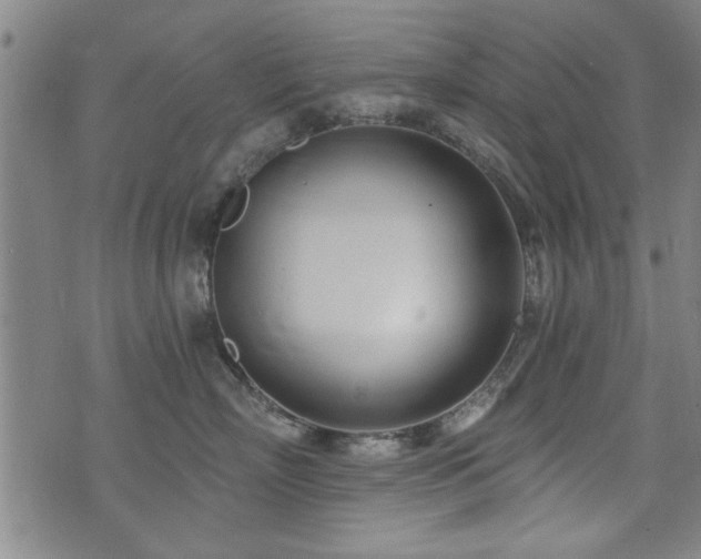 X0000072940718200607211101