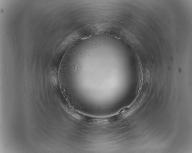 X0000072940719200607211101