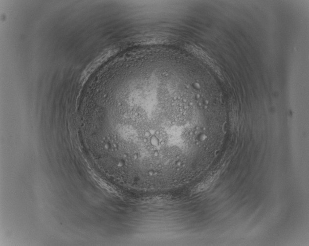 X0000072940721200607211101