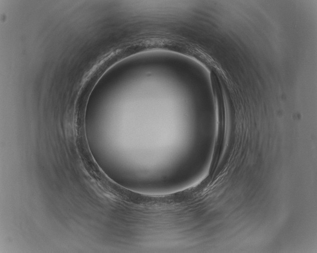 X0000072940722200607211101