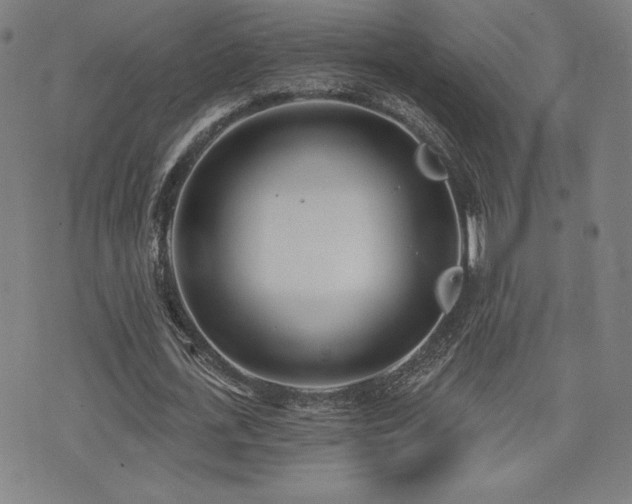 X0000072940723200607211101