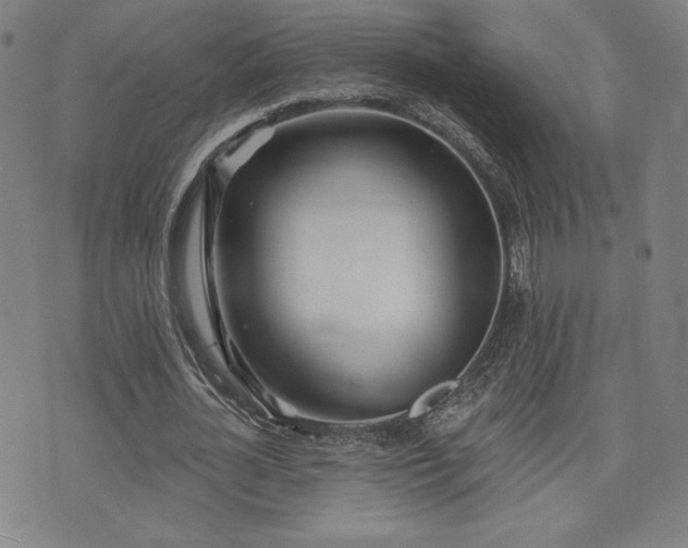 X0000072940724200607211101