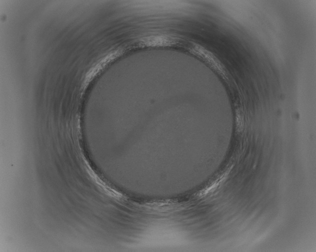 X0000072940725200607211101