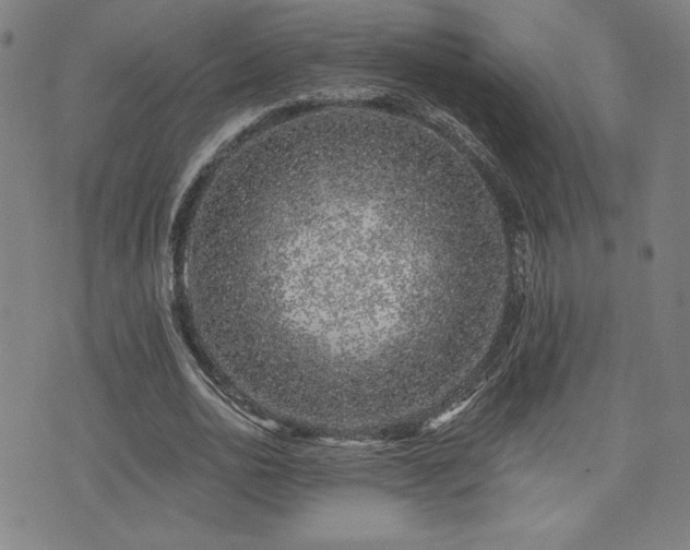 X0000072940726200607211101