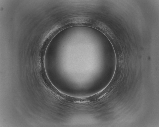 X0000072940727200607211101