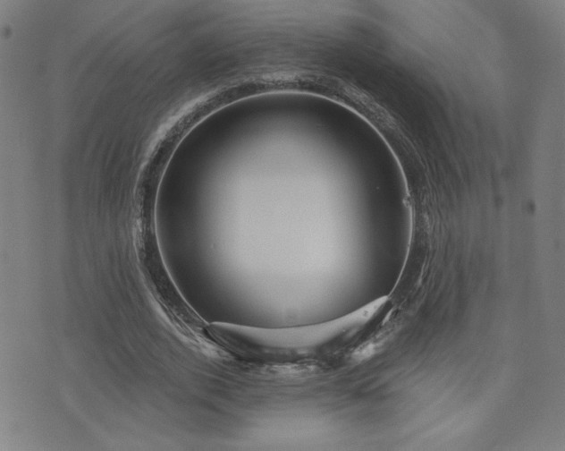 X0000072940728200607211101