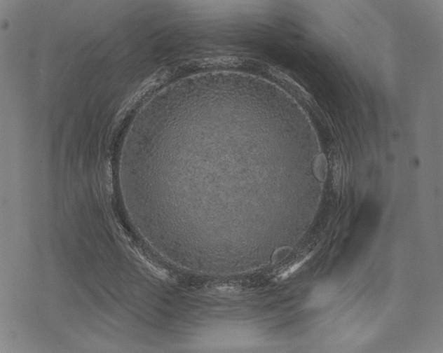 X0000072940729200607211101