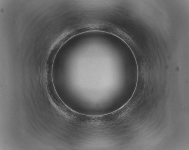 X0000072940730200607211101