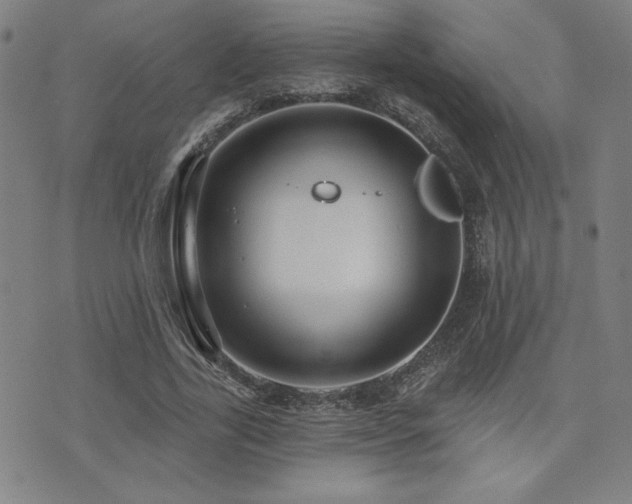 X0000072940731200607211101