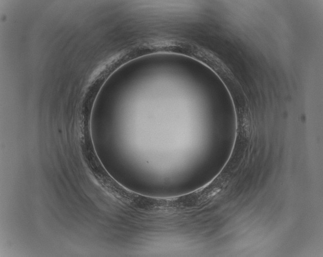 X0000072940732200607211101