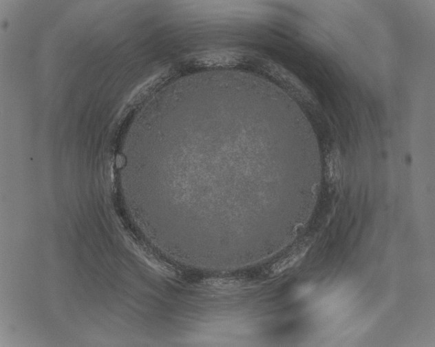 X0000072940733200607211101