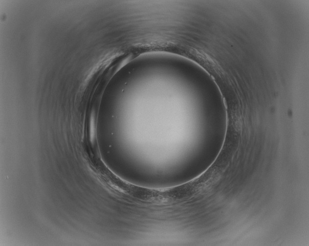 X0000072940735200607211101