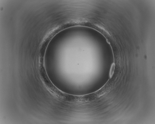 X0000072940736200607211101