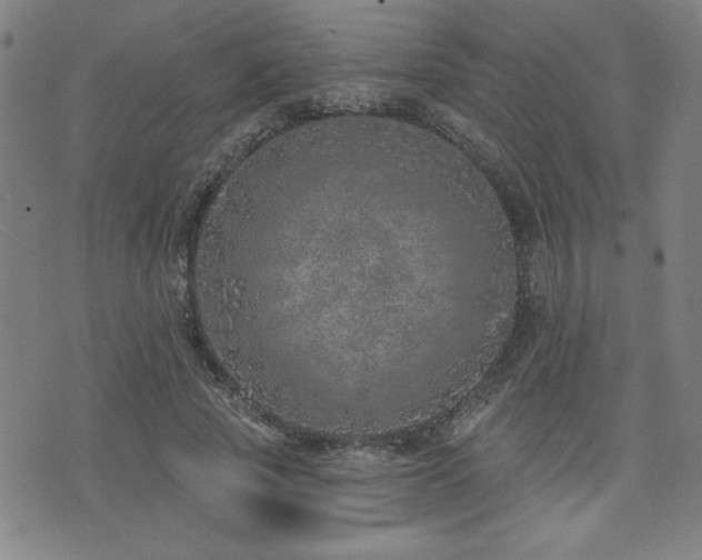 X0000072940737200607211101