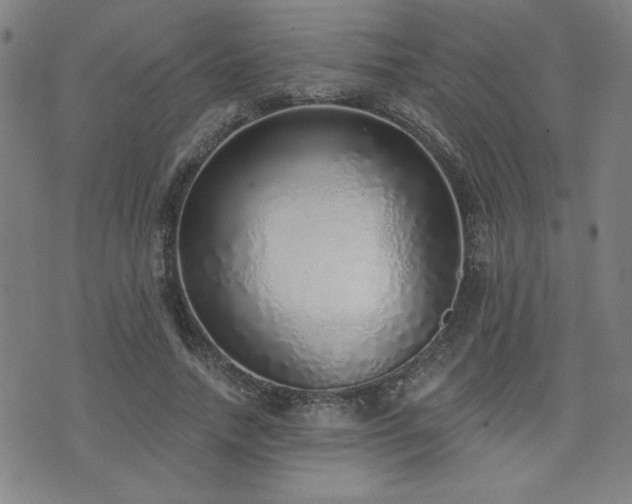 X0000072940738200607211101