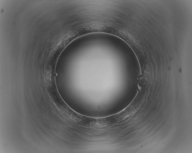 X0000072940739200607211101