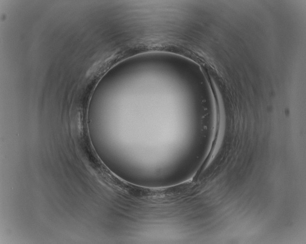 X0000072940740200607211101