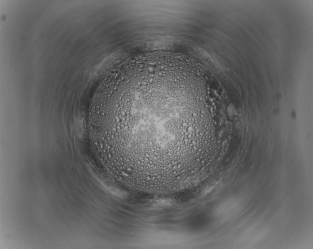 X0000072940741200607211101