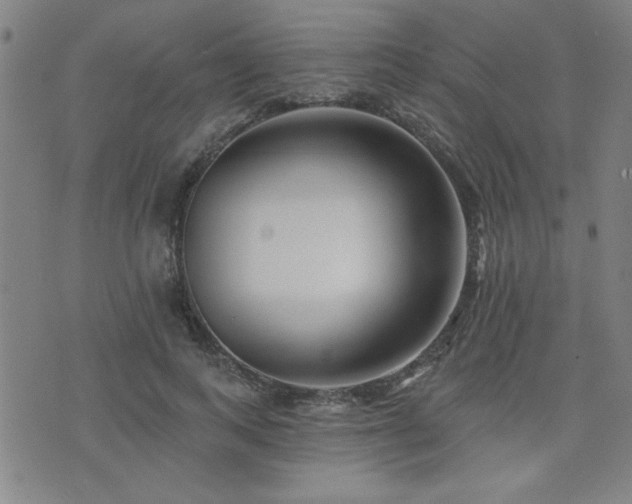 X0000072940743200607211101