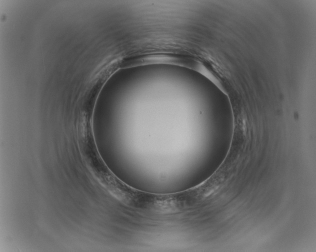 X0000072940744200607211101