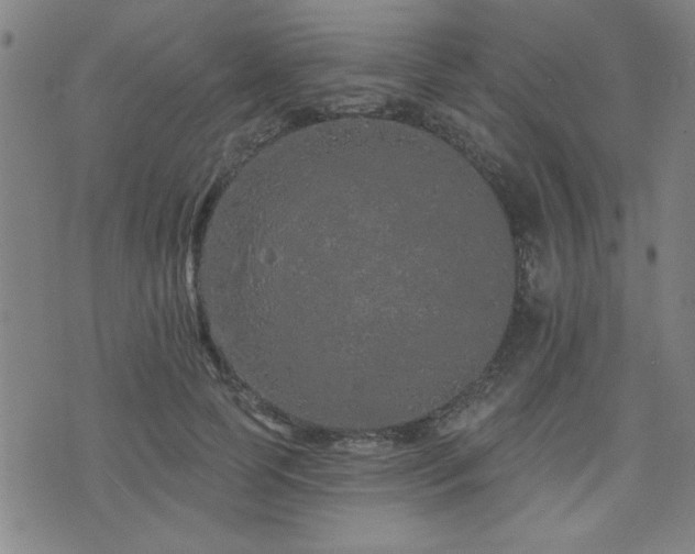 X0000072940745200607211101