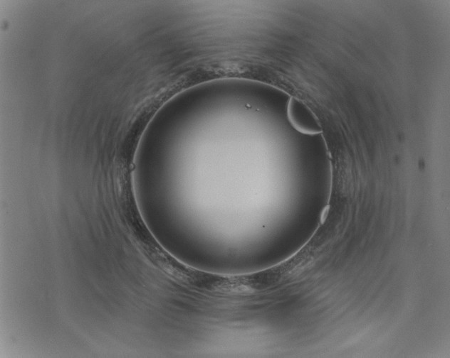 X0000072940747200607211101