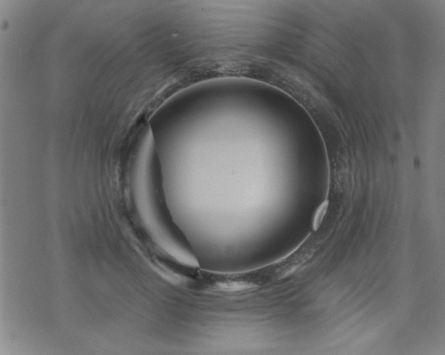 X0000072940748200607211101