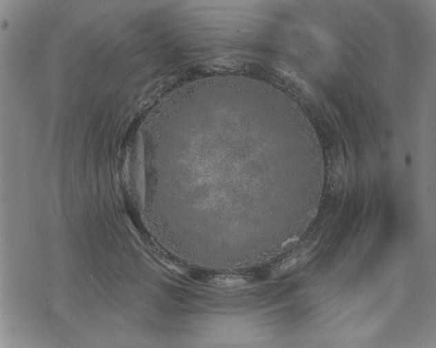 X0000072940749200607211101