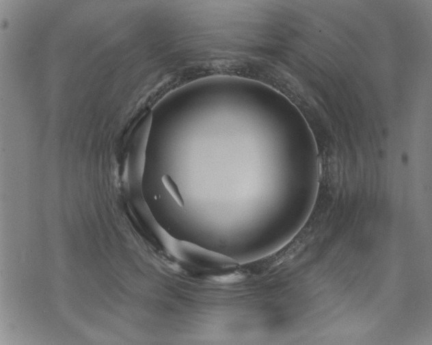 X0000072940750200607211101