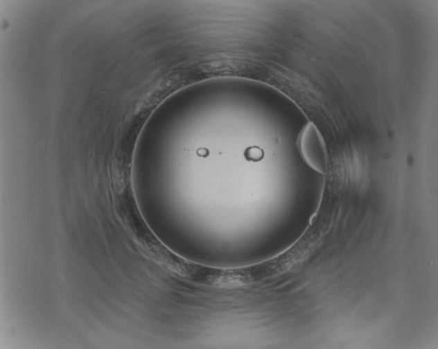 X0000072940751200607211101