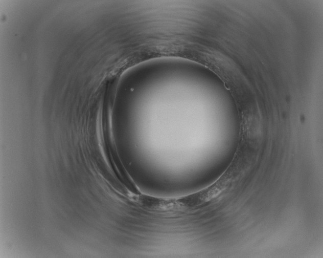 X0000072940752200607211101