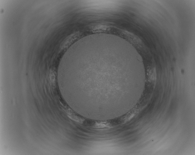 X0000072940753200607211101