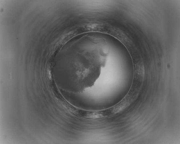 X0000072940754200607211101