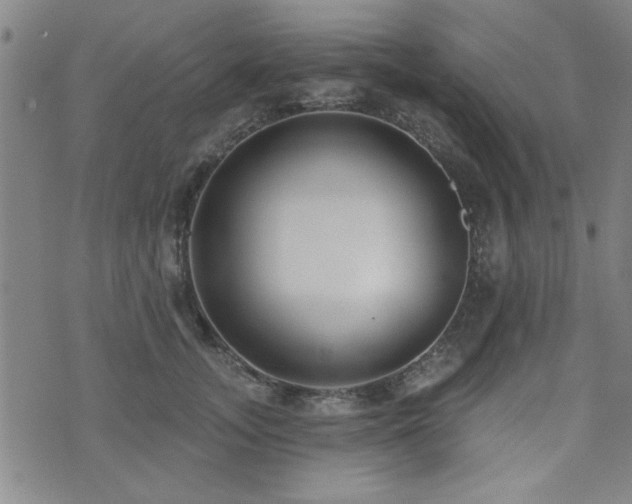 X0000072940755200607211101