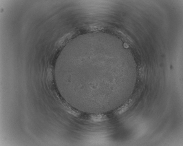 X0000072940757200607211101