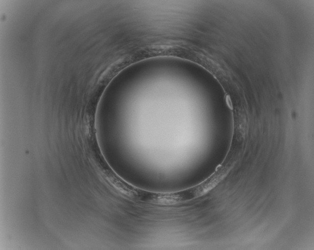 X0000072940758200607211101