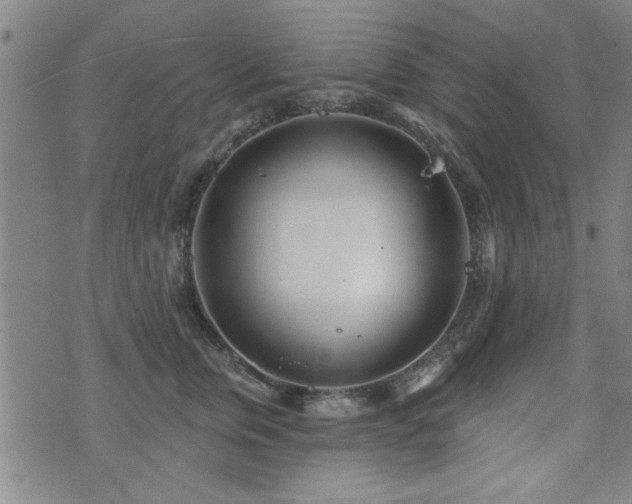 X0000072940759200607211101