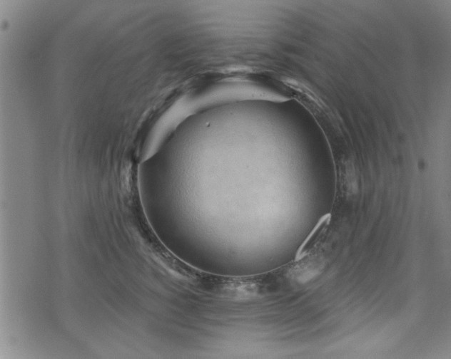 X0000072940760200607211101